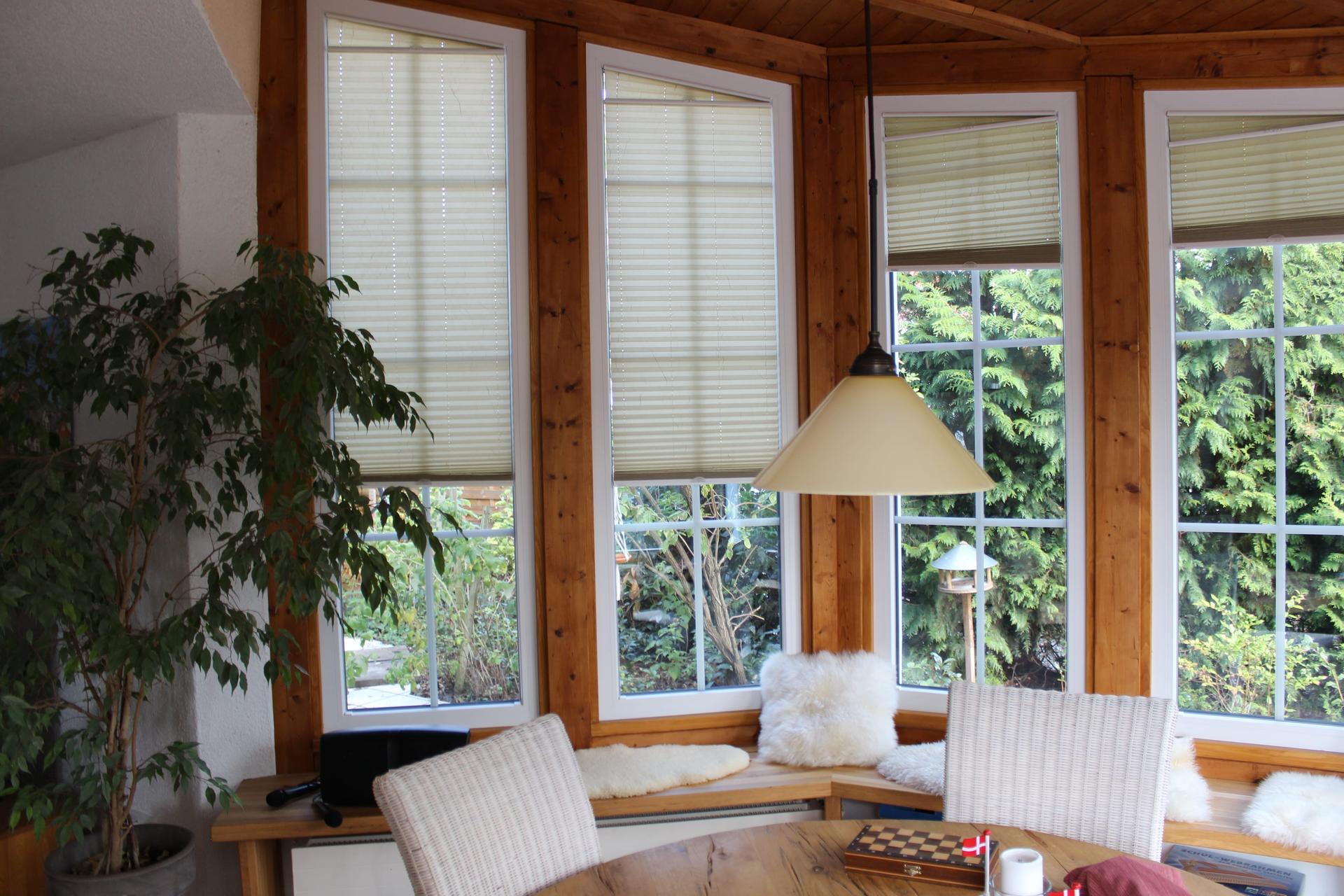 Fenster